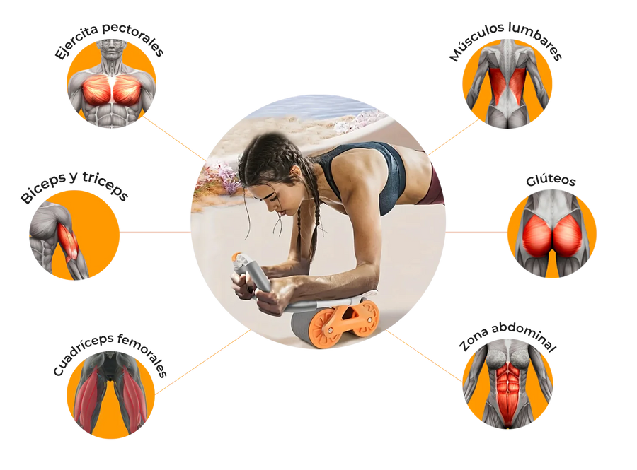 💪 RUEDA ABDOMINAL PRO - Transforma Tu Abdomen Desde Casa 💪